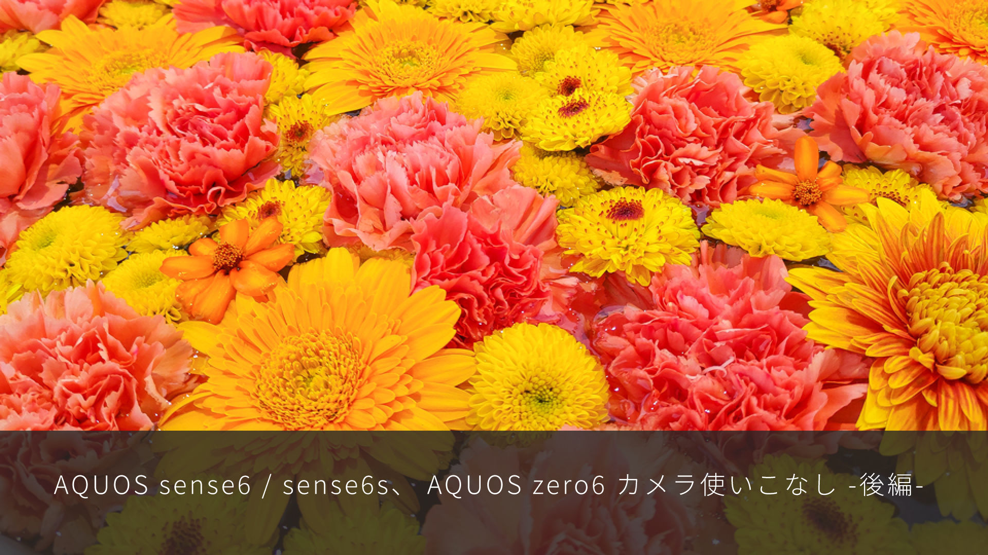 特集記事 AQUOS sense6、AQUOS zero6 カメラ使いこなし後編を更新しました