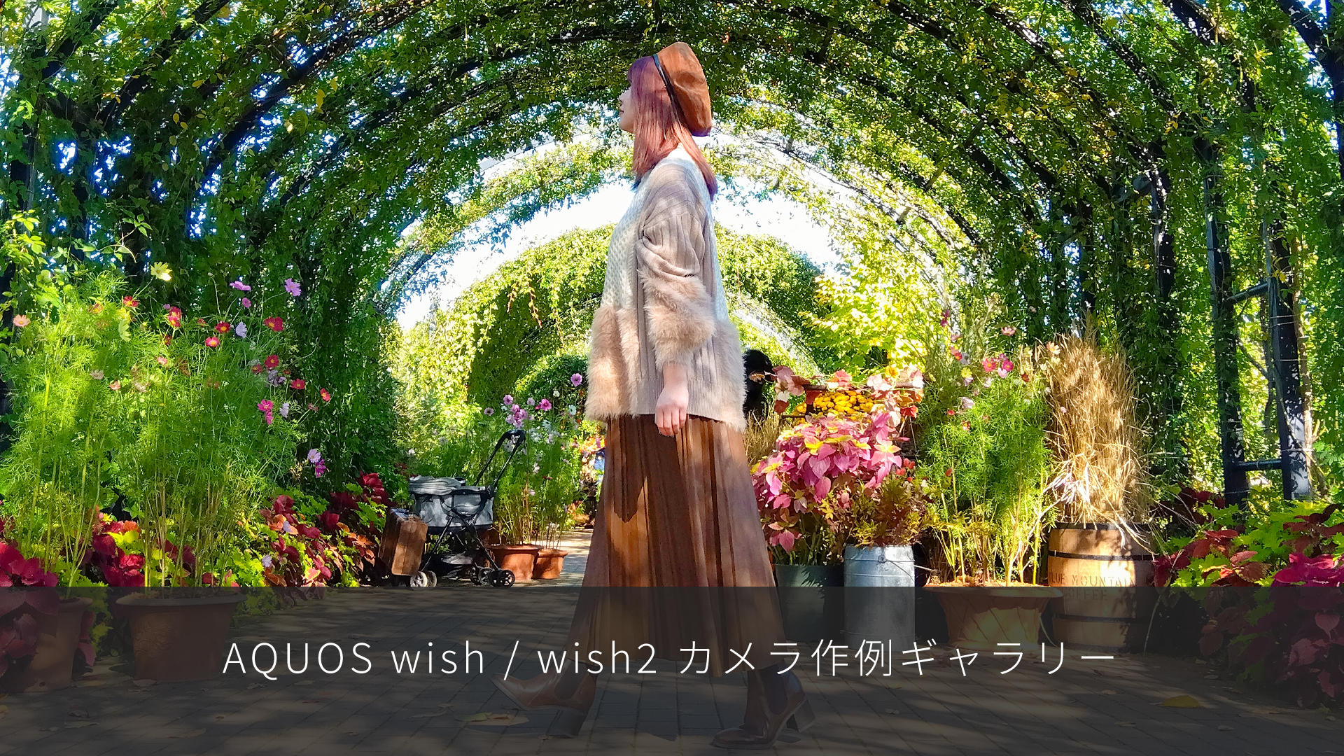 特集記事 AQUOS wish/wish2 カメラ作例ギャラリーを更新しました