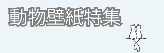 動物壁紙特集